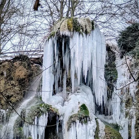 アパート 116 An Den Albthermen *